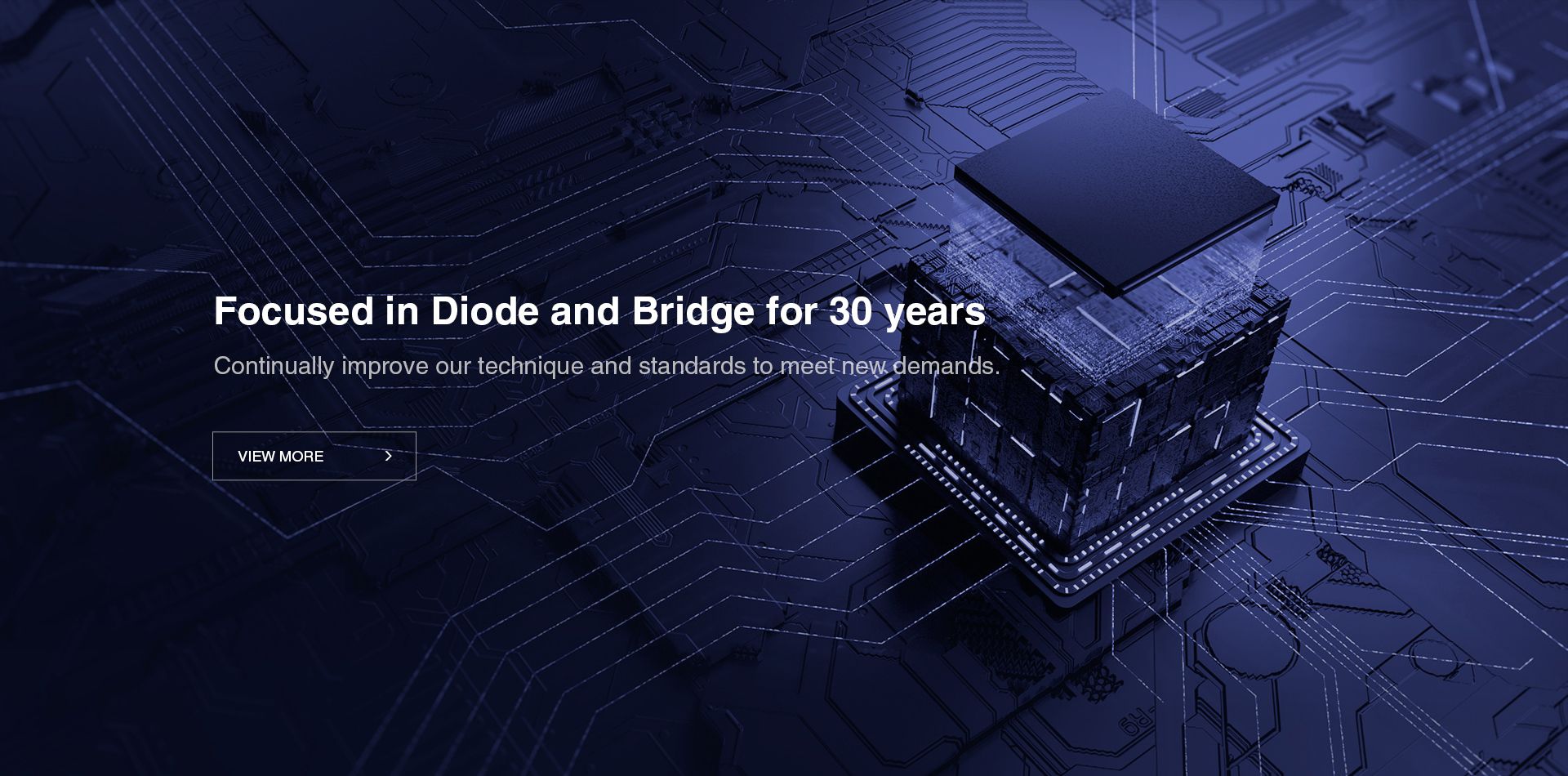 Focused in Diode and Bridge for 30 years